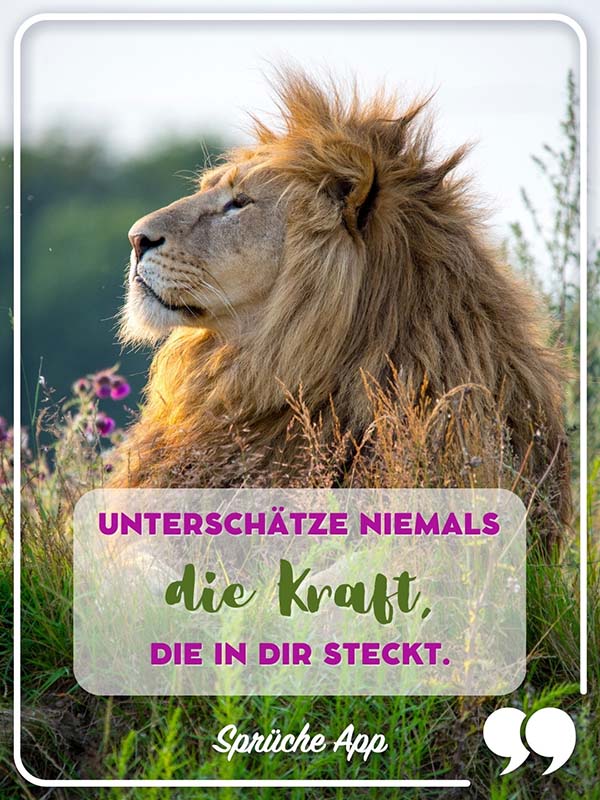 Löwe in einer Wiese mit Spruch: „Unterschätze niemals die Kraft, die in dir steckt."