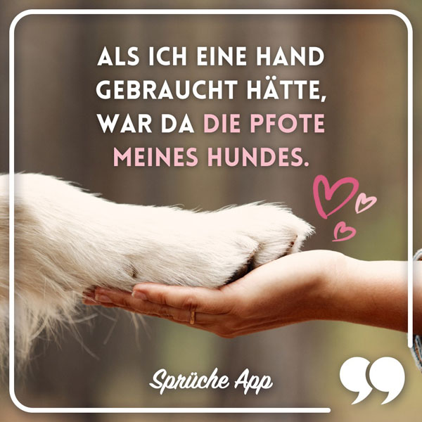 Hundepfote in der Hand einer Frau mit Spruch: „Als ich eine Hand gebraucht hätte, war da die Pfote meines Hundes."