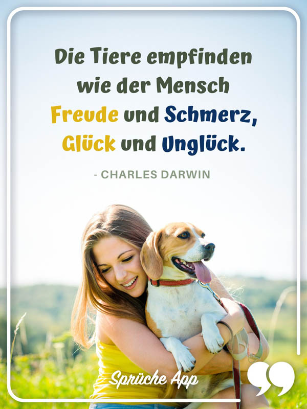 Frau, die einen Hund hält mit Spruch: „Die Tiere empfinden wie der Mensch Freude und Schmerz, Glück und Unglück." – Charles Darwin