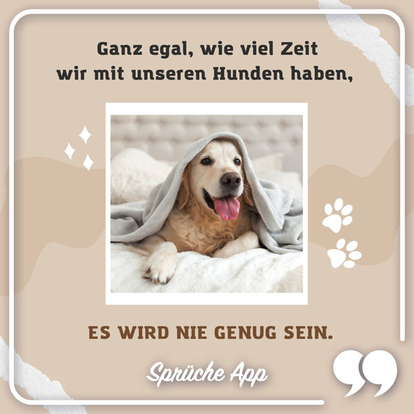 Hund im Bett mit einer Dacke am Kopf und Spruch: „Ganz egal, wie viel Zeit wir mit unseren Hunden haben, es wird nie genug sein."