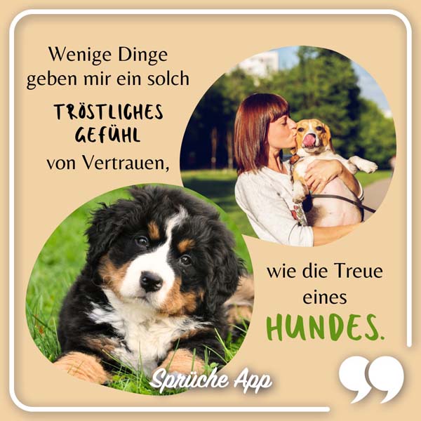 Frau, die einen Hund hält mit Spruch: „Wenige Dinge geben mir ein solch tröstliches Gefühl von Vertrauen, wie die Treue eines Hundes."