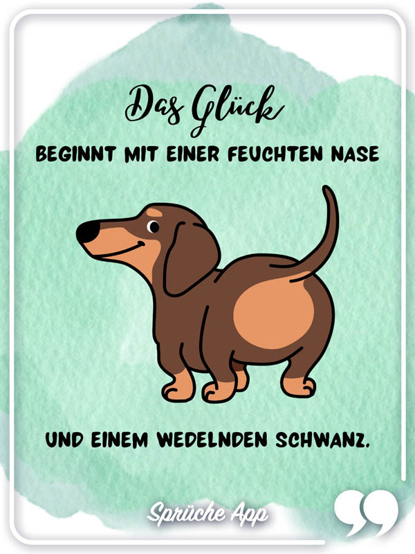 Illustrierter Dachs mit Hundespruch: „Das Glück beginnt mit einer feuchten Nase und einem wedelnden Schwanz."