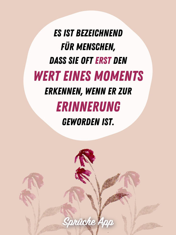 Verwelkte Blume mit Spruch: „Es ist bezeichnend für Menschen, dass sie oft erst den Wert eines Moments erkennen, wenn er zur Erinnerung geworden ist."