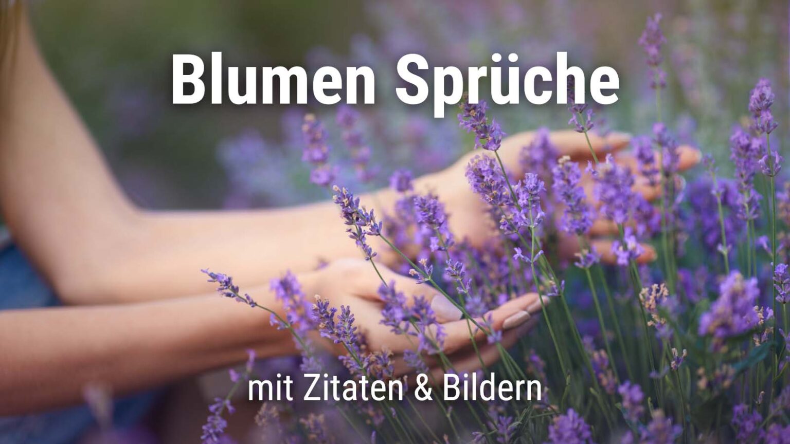Blumen Sprüche und Zitate mit vielen Bildern · good space.