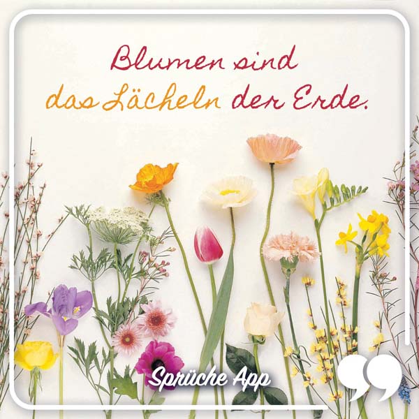 Trockenblumen mit Blumen Spruch: „Blumen sind das Lächeln der Erde."