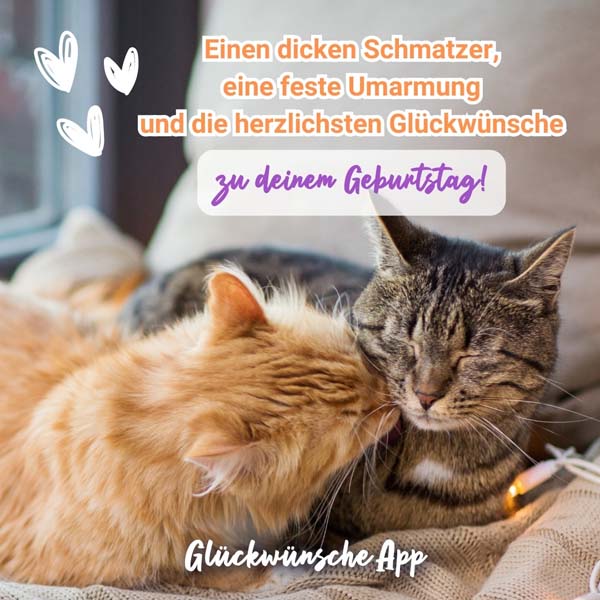 Zwei Katzen, die kuscheln mit Geburtstagswünsche für Frauen: „Einen dicken Schmatzer, eine feste Umarmung und die herzlichsten Glückwünsche zu deinem Geburtstag!"