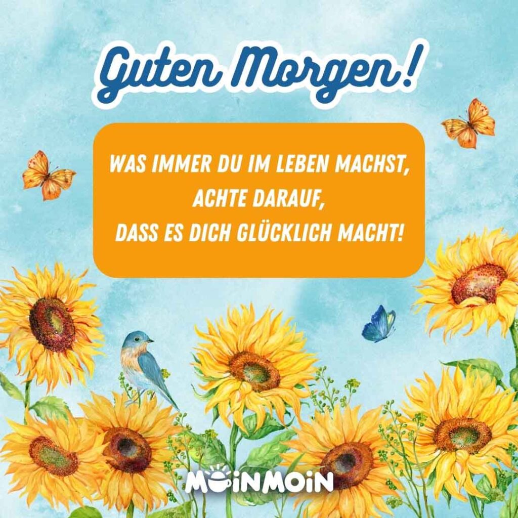 Sonnenblumenfeld mit Schmetterlingen und Gruß: „Guten Morgen! Was immer du im Leben machst, achte darauf, dass es dich glücklich macht!"