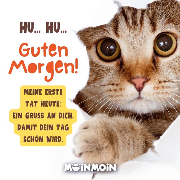 Katze mit Gruß: „Hu… Hu… Guten Morgen! Meine erste Tat heute: ein Gruß an dich, damit dein Tag schön wird."