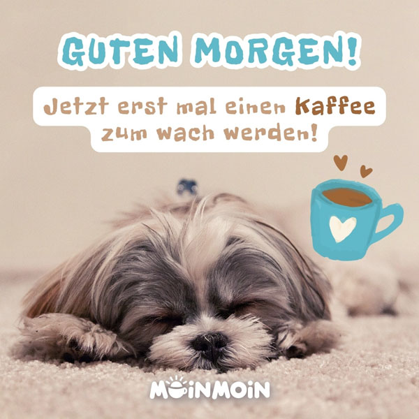 Hund, der schläft und illustrierte Kaffeetasse mit Gruß: „Guten Morgen! Jetzt erst mal einen Kaffee zum wach werden!"