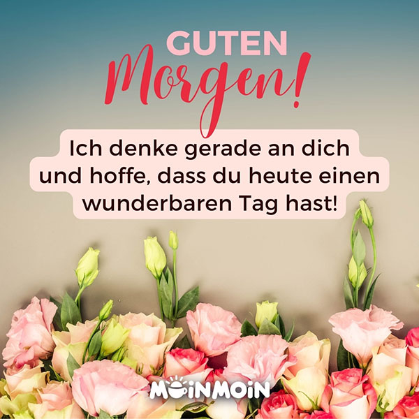 Rosa Blumen mit Grüße: „Guten Morgen! Ich denke gerade an dich und hoffe, dass du heute einen wunderbaren Tag hast!"