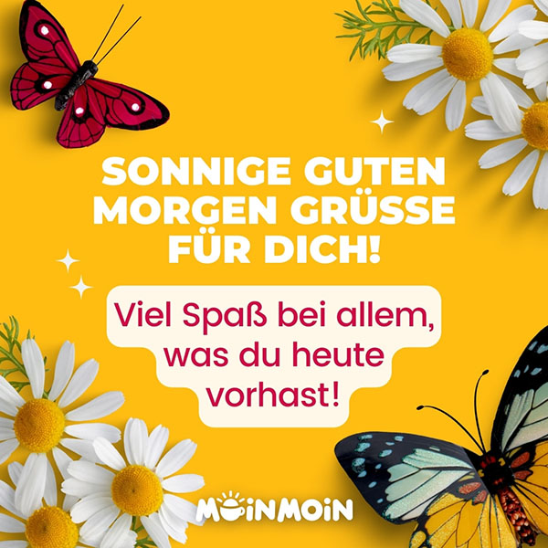 Blumen und Schmetterlinge mit Gruß: „Sonnige guten Morgen Grüße für dich! Viel Spaß bei allem, was du heute vorhast!"