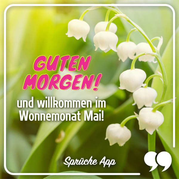 Maiglöckchen mit 1 Mai Grüße: „Guten Morgen und willkommen im Wonnemonat Mai!"