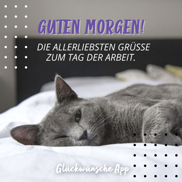 Graue Katze, die auf dem Bett schläft mit 1 Mai Gruß: „Guten Morgen! Die allerliebsten Grüße zum Tag der Arbeit."