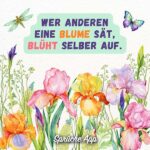Blumen Sprüche und Zitate mit vielen Bildern · good space.