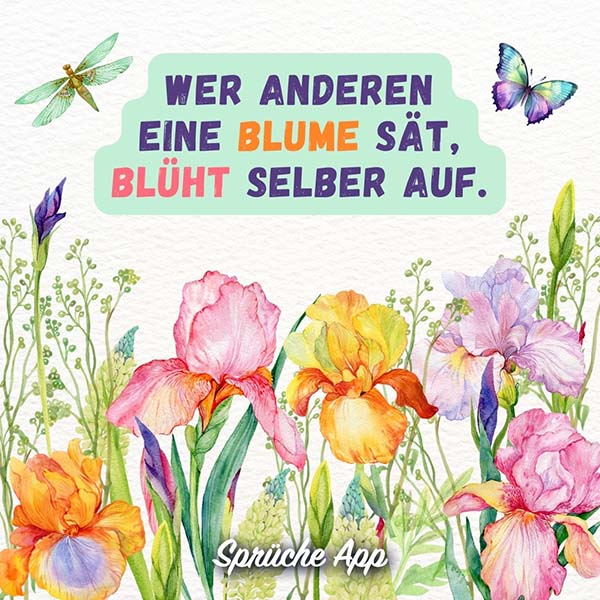 Illustration bunter Irisblumen und Schmetterlingen mit dem Spruch: „Wer anderen eine Blume sät, blüht selber auf."