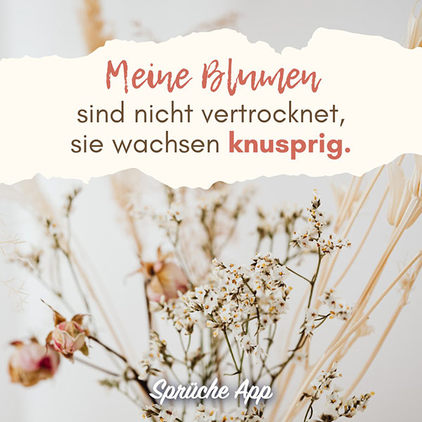 Getrocknete weiße Blumen mit dem Spruch: „Meine Blumen sind nicht vertrocknet, sie wachsen knusprig."