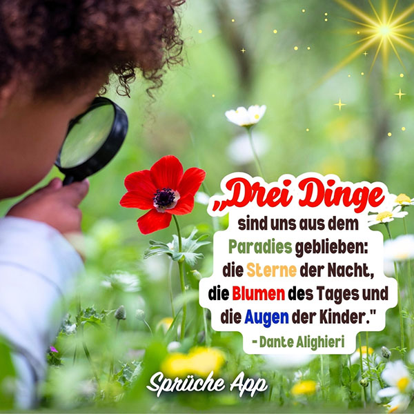 Kind beobachtet rote Mohnblume mit Lupe, Zitat von Dante Alighieri: „Drei Dinge sind uns aus dem Paradies geblieben: die Sterne der Nacht, die Blumen des Tages und die Augen der Kinder."