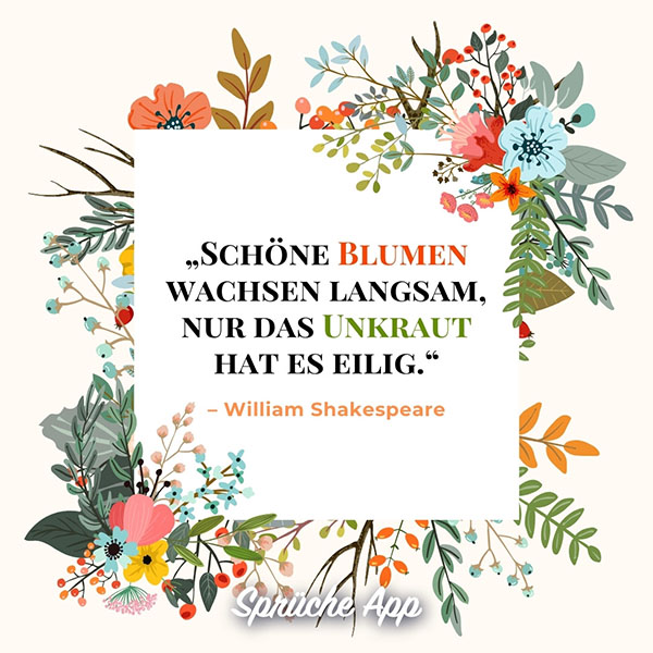 Illustrierter Blumen-Rahmen um ein Zitat von Shakespeare: „Schöne Blumen wachsen langsam, nur das Unkraut hat es eilig.“