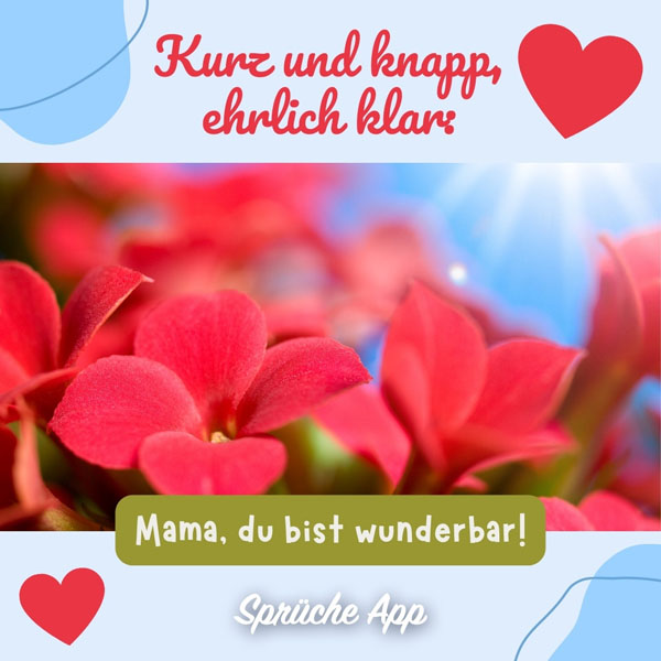 Nahaufnahme von roten Blumen im Sonnenschein und Reim: „Kurz und knapp, ehrlich klar: Mama, du bist wunderbar!"