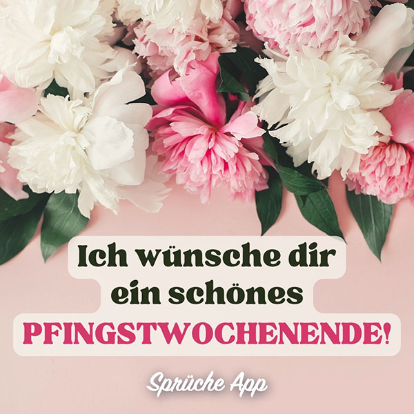 Pfingstrosen mit Pfingsten Spruch: „Ich wünsche dir ein schönes Pfingstwochenende!"