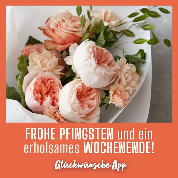 Strauß an rose Pfingstrosen mit Grüße: „Frohe Pfingsten und eine erholsames Wochenende!"