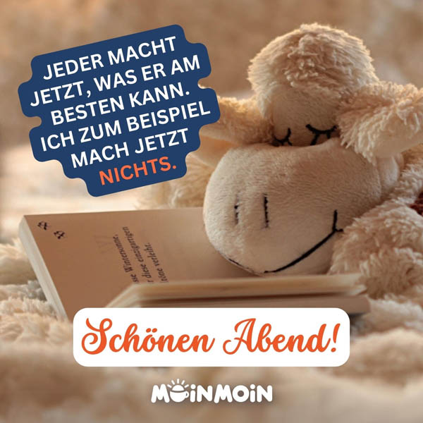 Schlafendes Plüsch-Schaf, das auf einem offenen Buch liegt, mit dem Spruch: „Jeder macht jetzt, was er am besten kann. Ich zum Beispiel mach jetzt nichts. Schönen Abend!"