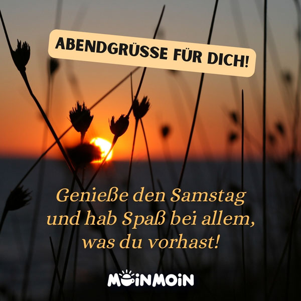 Sonnenuntergang mit Silhouetten von Gräsern und dem Spruch: „Abendgrüße für dich! Genieße den Samstag und hab Spaß bei allem, was du vorhast!"