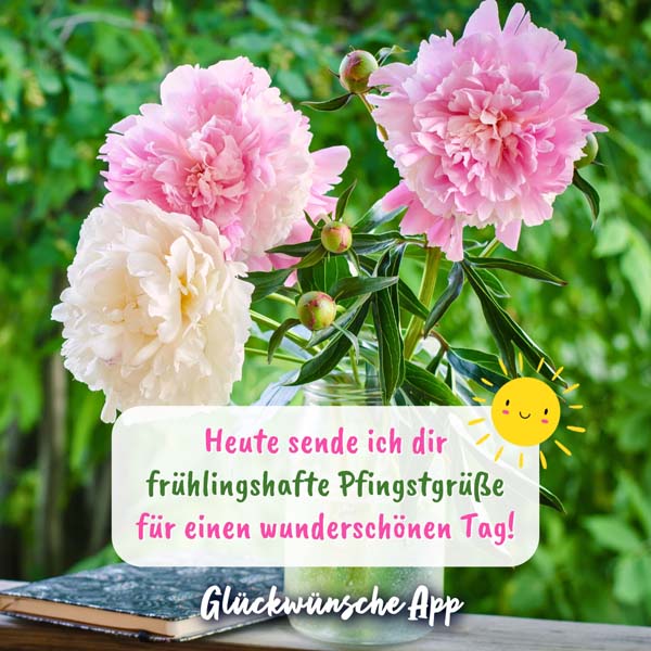 Rosa Pfingstrosen in einer Vase mit Grüßen: „Heute sende ich dir frühlingshafte Pfingstgrüße für einen wunderschönen Tag!"