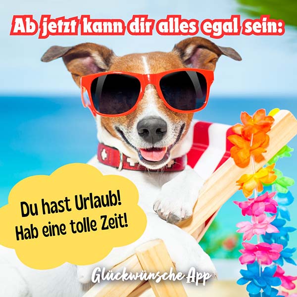 Hund am Strand mit Sonnenbrille und Gruß: „Ab jetzt kann dir alles egal sein: Du hast Urlaub! Hab eine tolle Zeit!"
