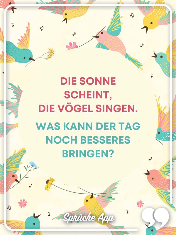 Illustrierte bunte Vögel, die singen mit Spruch in der Mitte: „Ich liebe diese Momente, in denen die Sonne das Meer küsst und die Luft voller Magie ist."