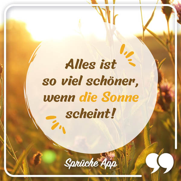 Sonnenuntergang auf einem Feld mit Spruch: „Alles ist so viel schöner, wenn die Sonne scheint!"