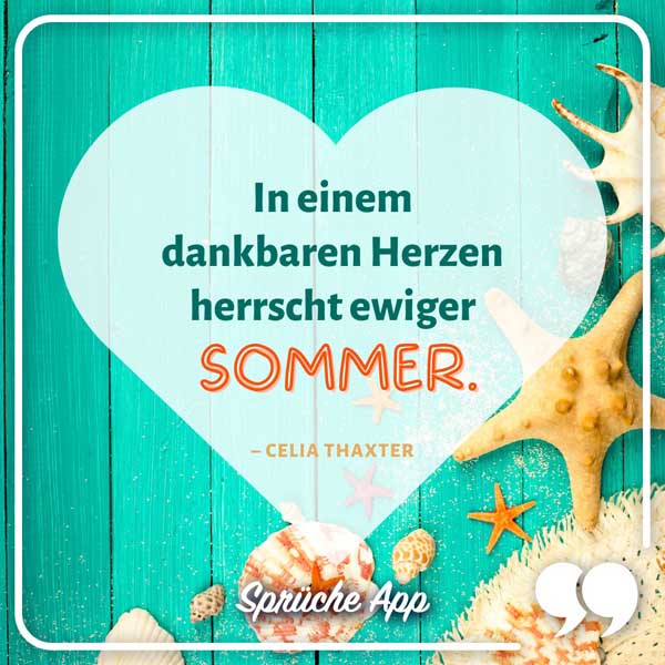 Muscheln auf einem türkisen Hintergrund und Herz mit Spruch in der Mitte: „In einem dankbaren Herzen herrscht ewiger Sommer." – Celia Thaxter
