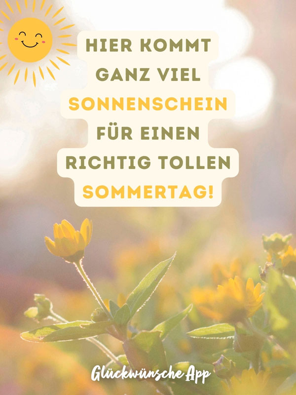 Gelbe Blumen auf einer sonnigen Wiese mit Grüße: „Hier kommt ganz viel Sonnenschein für einen richtig tollen Sommertag!"