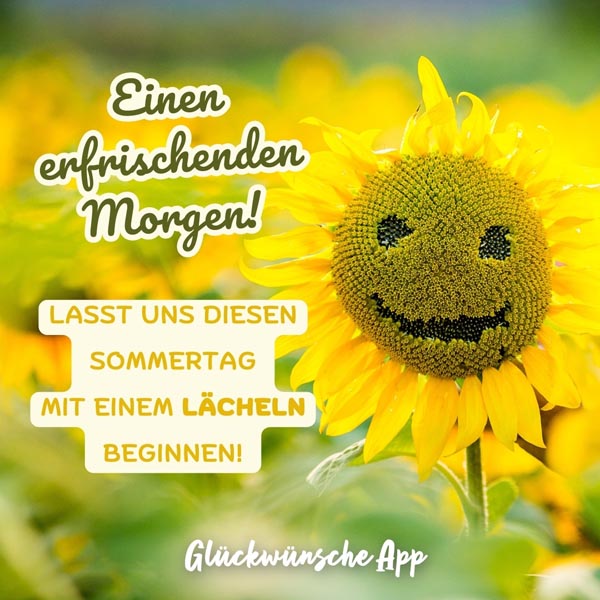 Sonnenblume mit lächelndem Gesicht auf einem Feld und guten Morgen Sommer Grüße: "„Einen erfrischenden Morgen! Lasst uns diesen Sommertag mit einem Lächeln beginnen!"