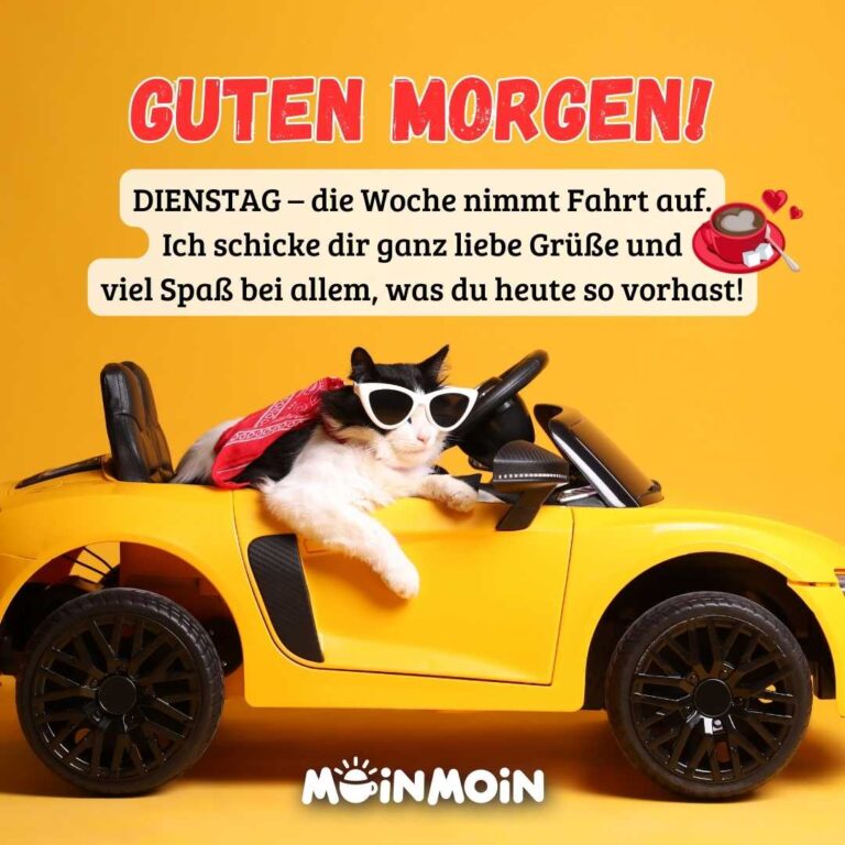 Dienstag Wahnsinn Die Lach Attacke Der Woche Kostenlos Lustig