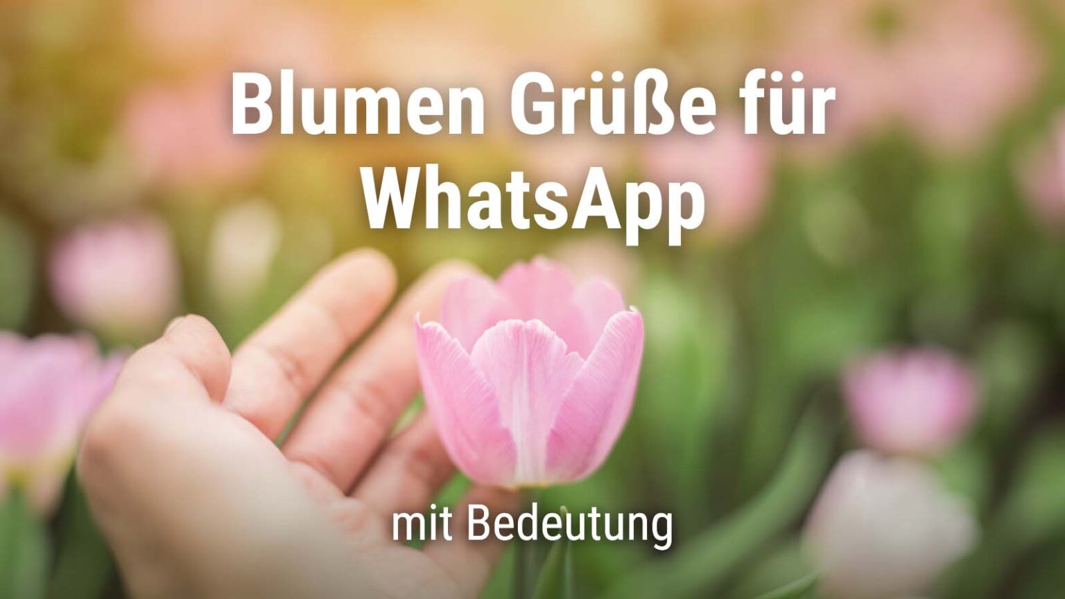 Sprche Ber Blumen