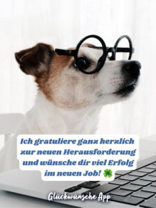 Neuer Job Sprüche Die besten Glückwünsche + Bilder · good space.