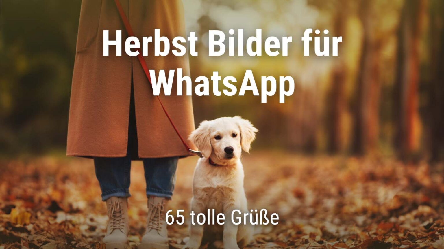 Herbstbilder Kostenlos Fur Whatsapp