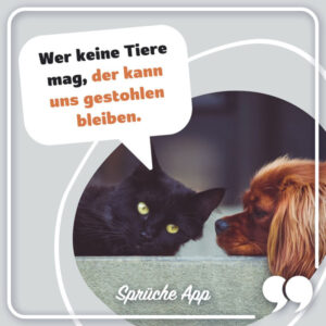 Tierschutz Sprüche 50 Zitate und Grüße + Bilder · good space.