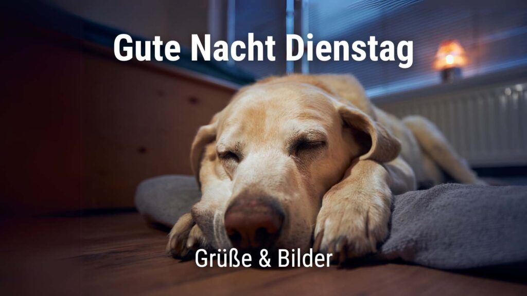 Gute Nacht Donnerstag Grüße für WhatsApp + Bilder · good space.