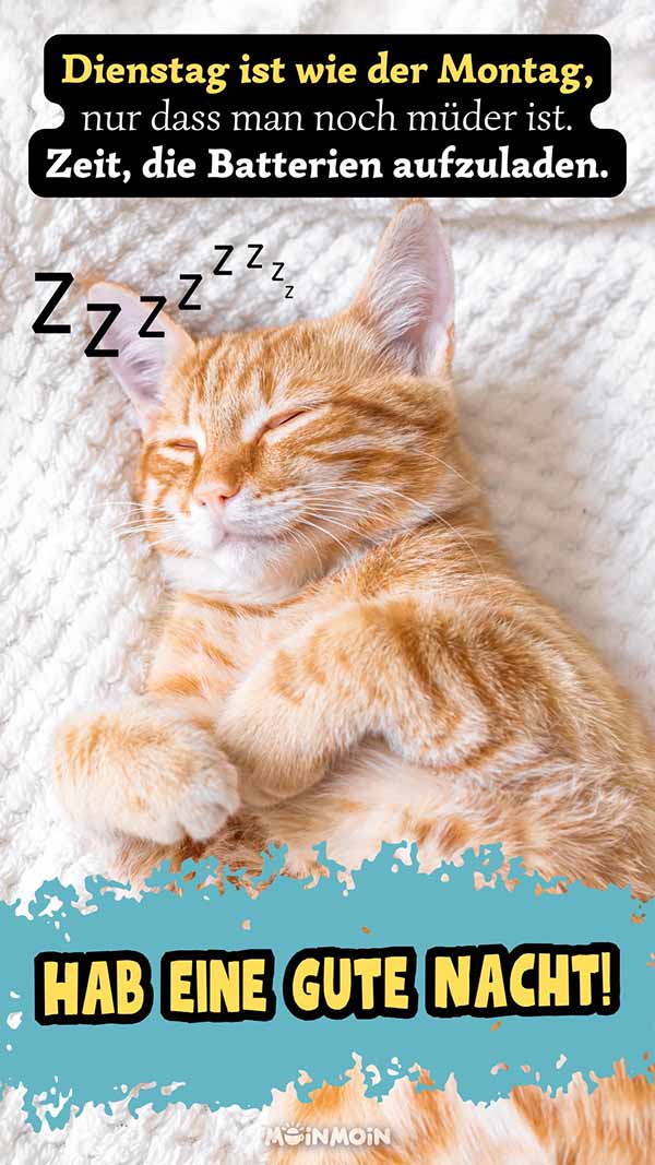 Plötzlich Schreibt Er Nicht Mehr Gute Nacht Gute Nacht Dienstag – WhatsApp Grüße und Bilder · good space.